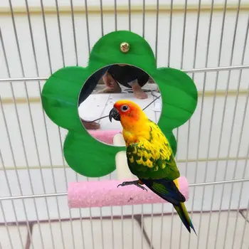 Madár Tükör Sügér Természetes Papagáj Állni Játék Kanári Lorikeet Kakadu Színes Virág Alakú
